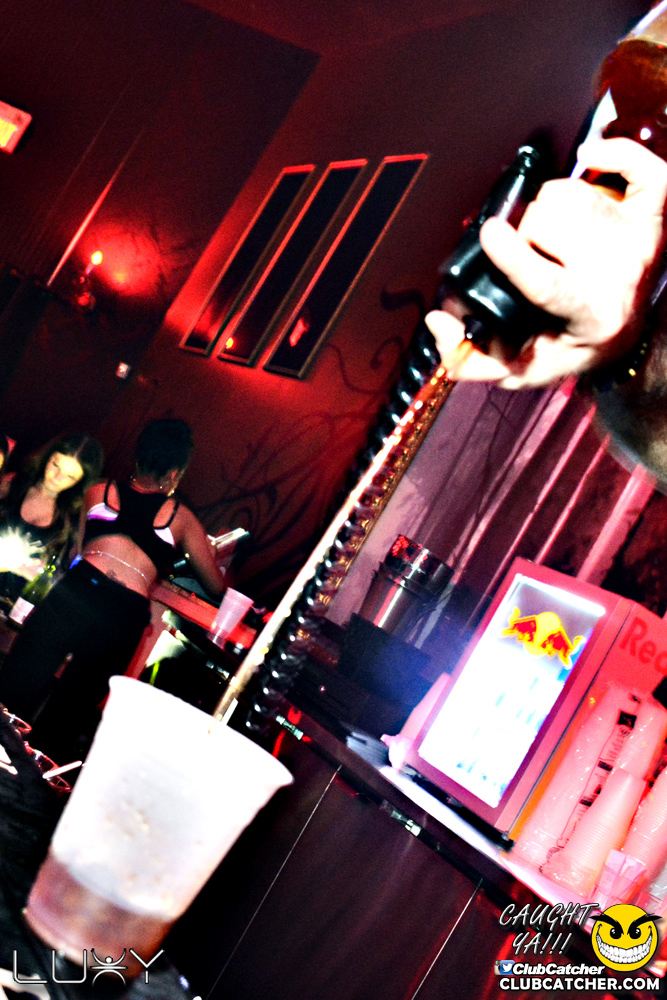 Luxy nightclub photo 49 - January 5th, 2018