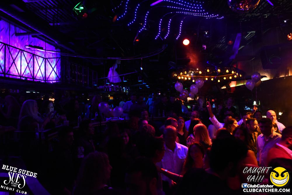 Blue Suede Sues nightclub photo 13 - January 20th, 2018