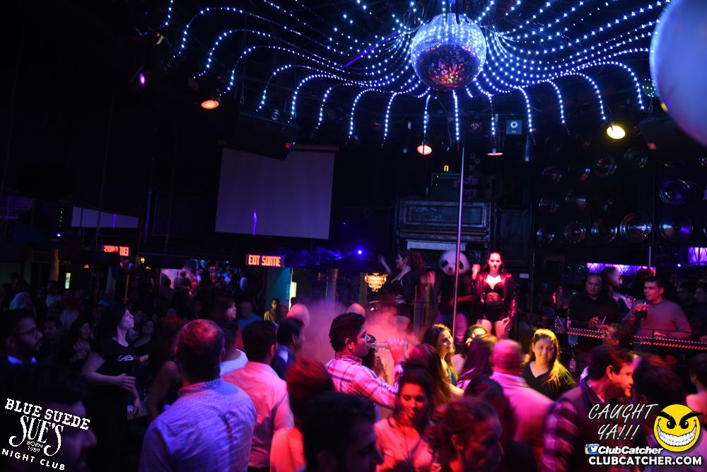 Blue Suede Sues nightclub photo 23 - January 20th, 2018