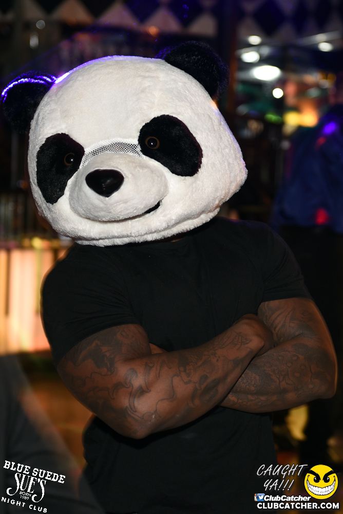 Blue Suede Sues nightclub photo 26 - January 20th, 2018