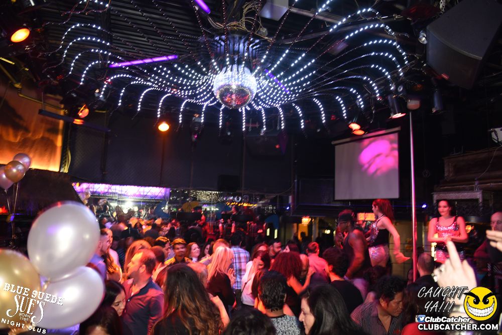 Blue Suede Sues nightclub photo 39 - January 20th, 2018