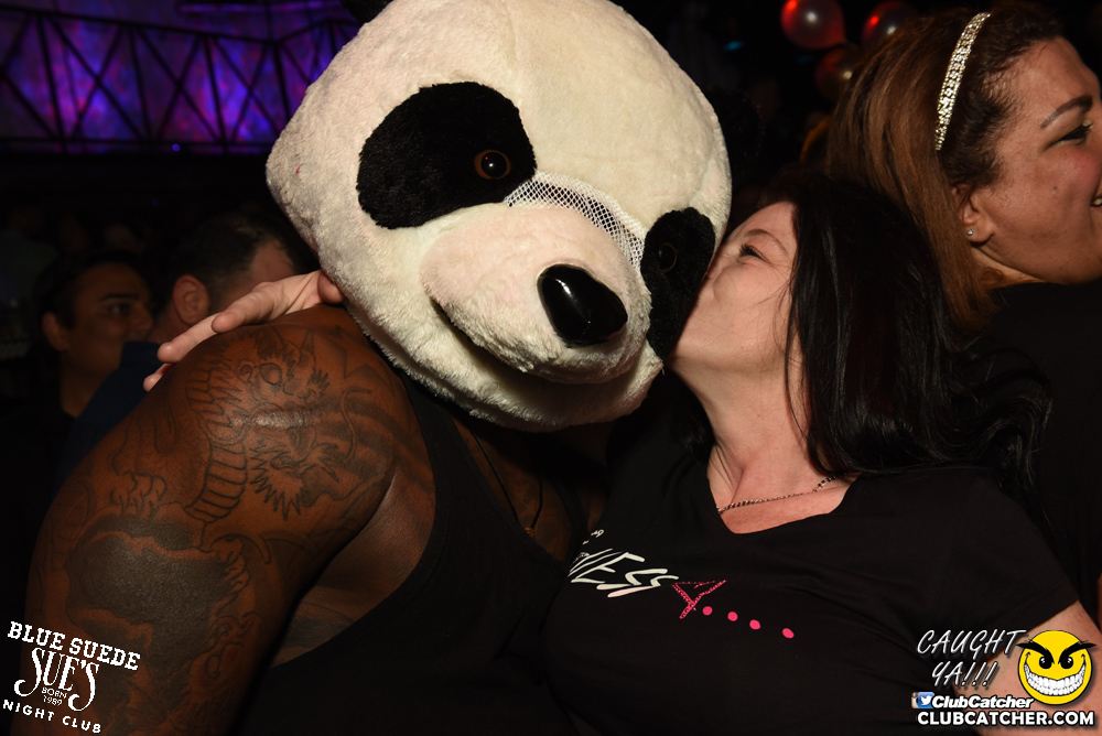 Blue Suede Sues nightclub photo 5 - January 20th, 2018