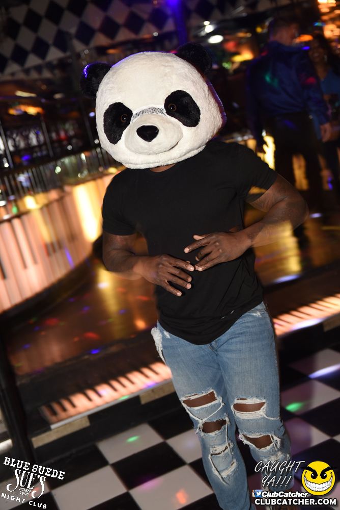 Blue Suede Sues nightclub photo 50 - January 20th, 2018