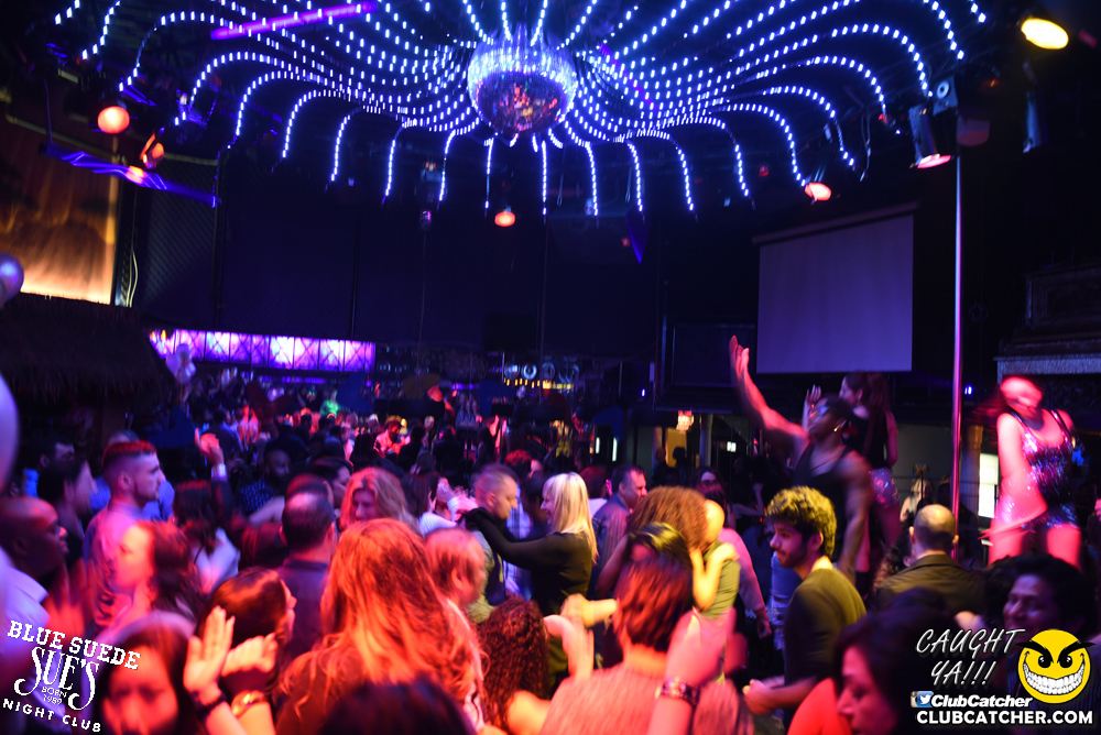 Blue Suede Sues nightclub photo 61 - January 20th, 2018