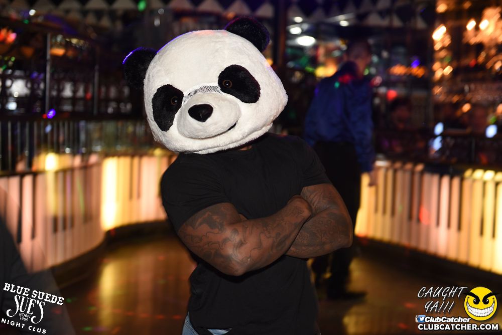 Blue Suede Sues nightclub photo 71 - January 20th, 2018