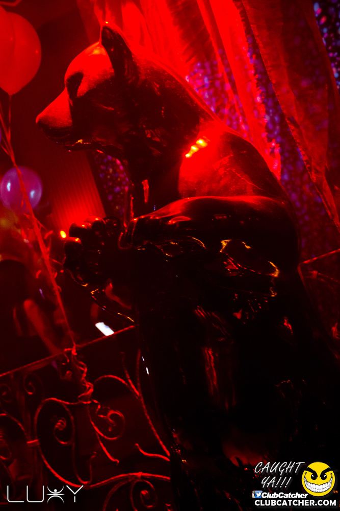 Luxy nightclub photo 8 - April 14th, 2018