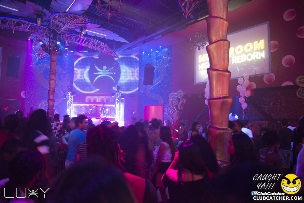 Luxy nightclub photo 36 - July 7th, 2018