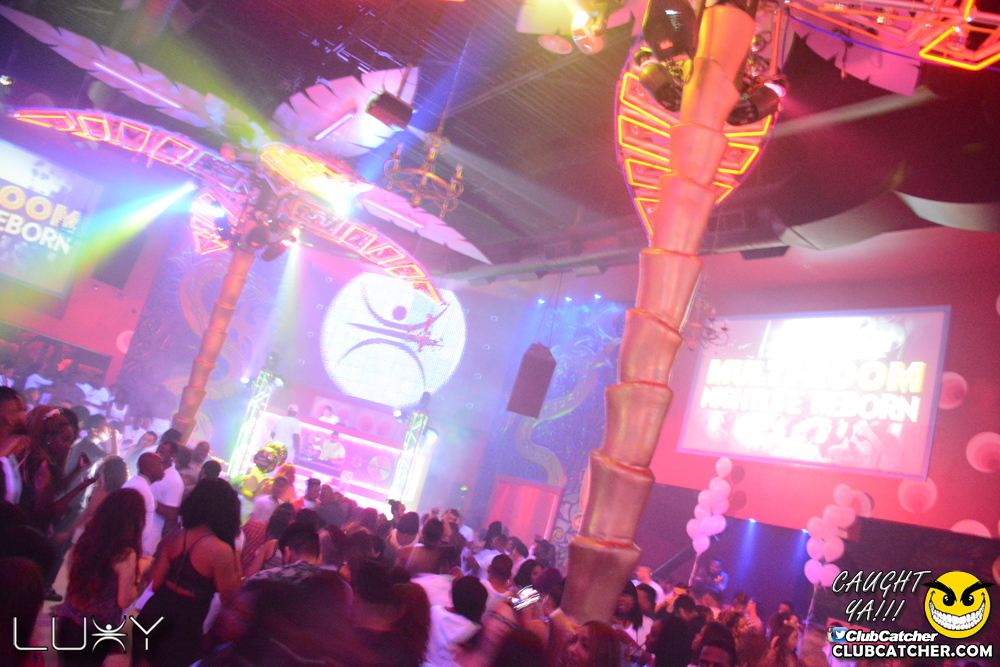 Luxy nightclub photo 109 - July 13th, 2018