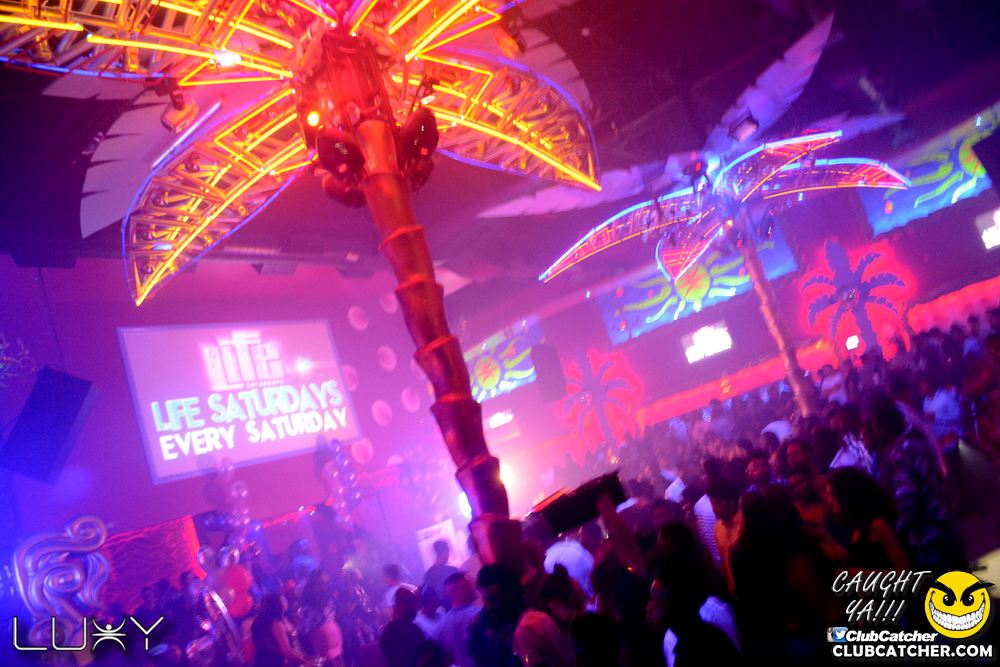 Luxy nightclub photo 187 - September 1st, 2018