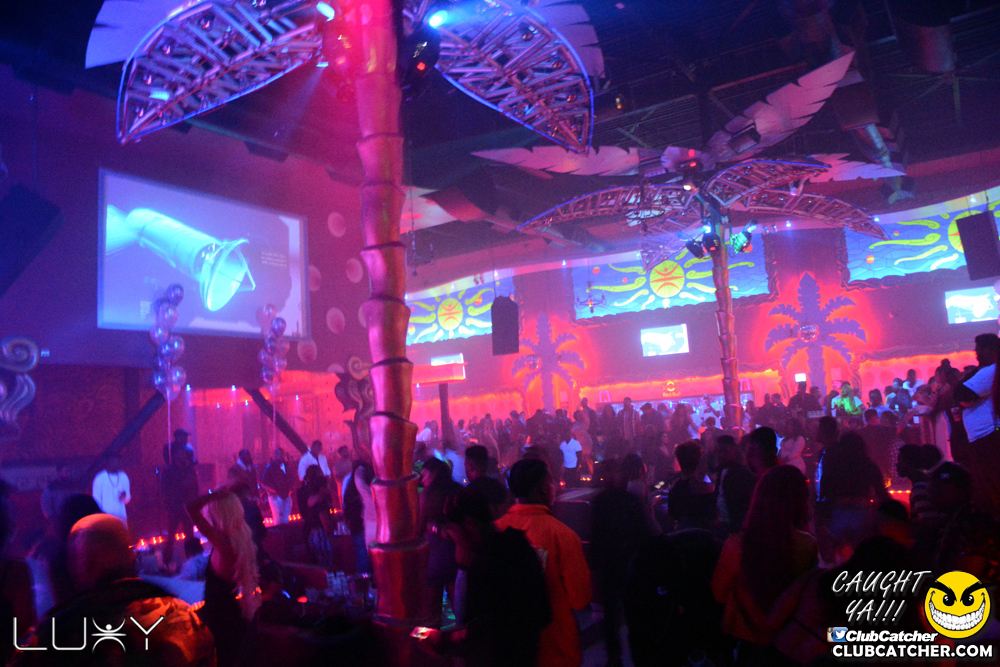 Luxy nightclub photo 1 - November 16th, 2018