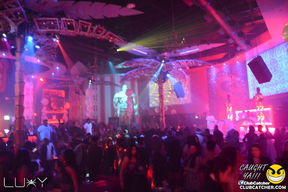 Luxy nightclub photo 115 - November 24th, 2018