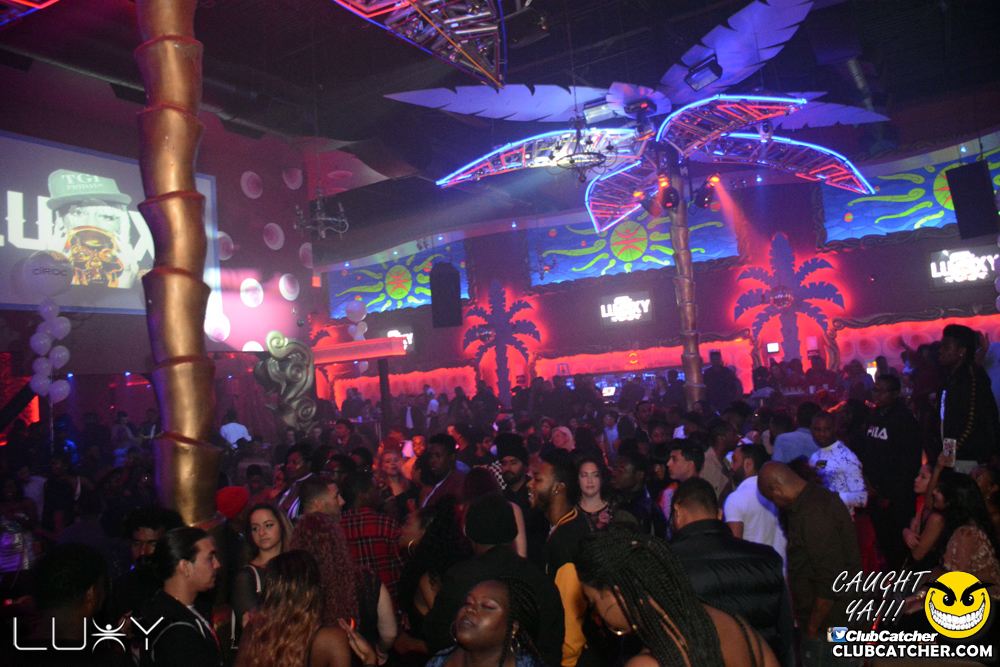 Luxy nightclub photo 227 - November 24th, 2018