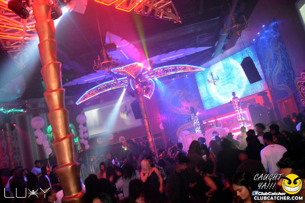 Luxy nightclub photo 263 - November 24th, 2018