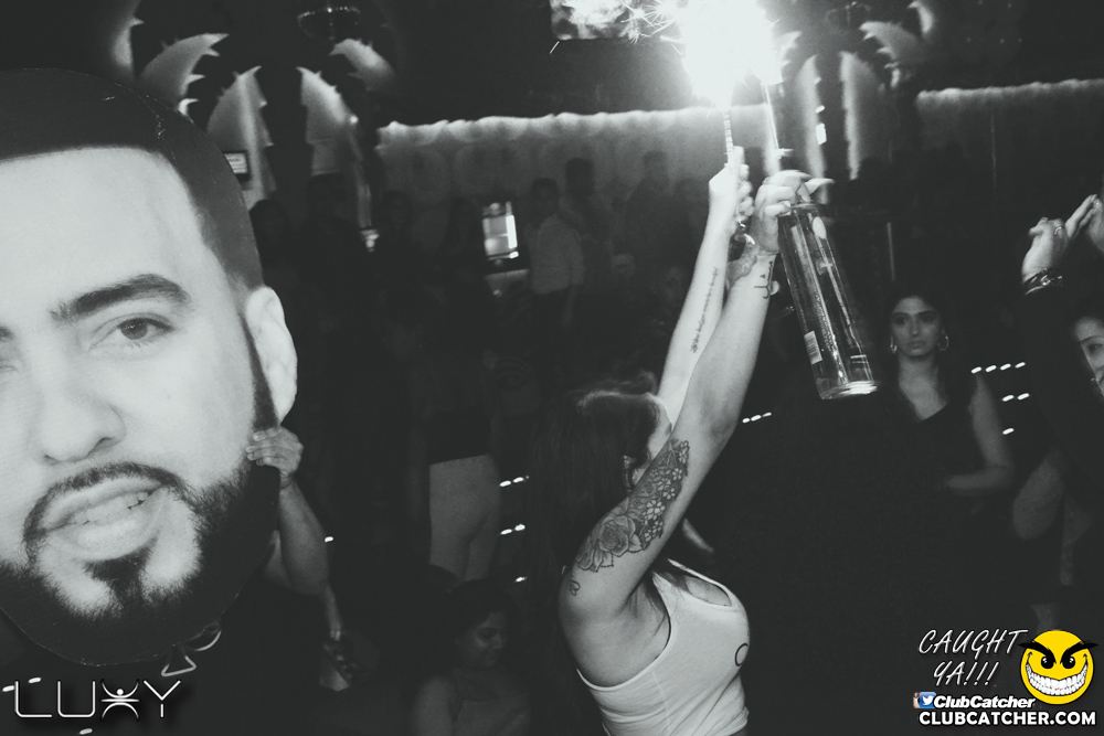 Luxy nightclub photo 294 - November 24th, 2018