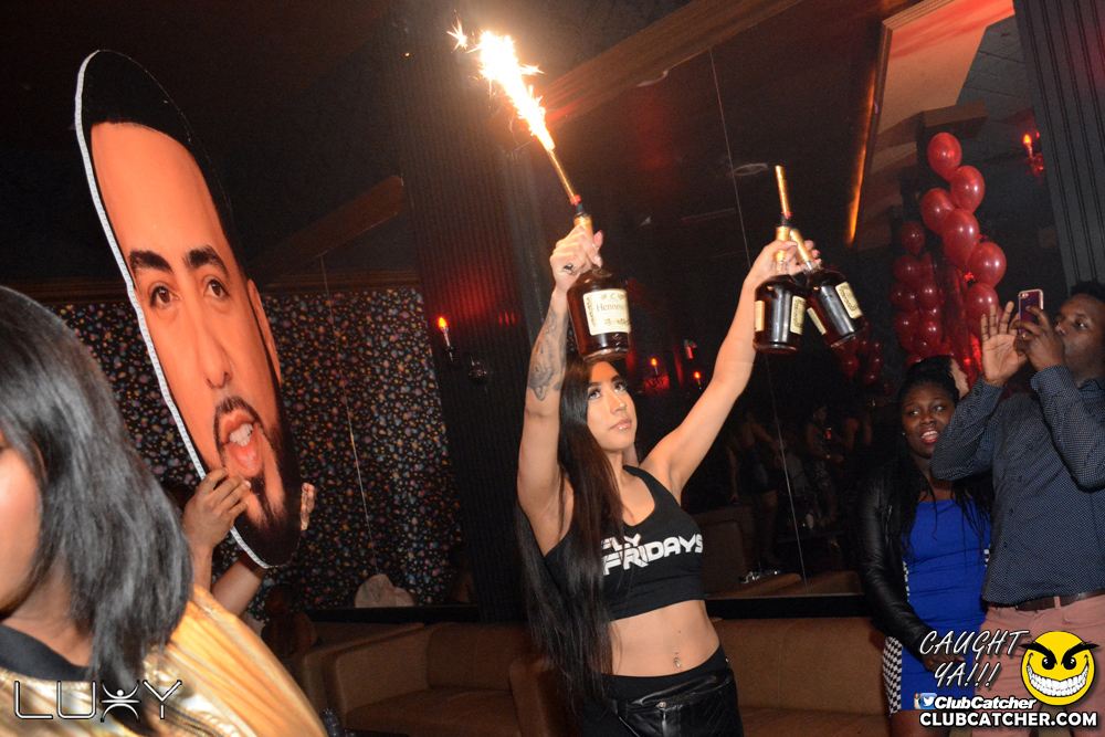 Luxy nightclub photo 9 - November 30th, 2018