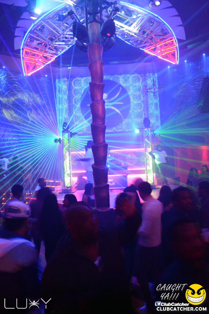 Luxy nightclub photo 113 - January 4th, 2019