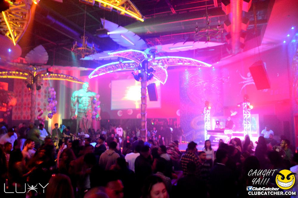 Luxy nightclub photo 162 - January 4th, 2019