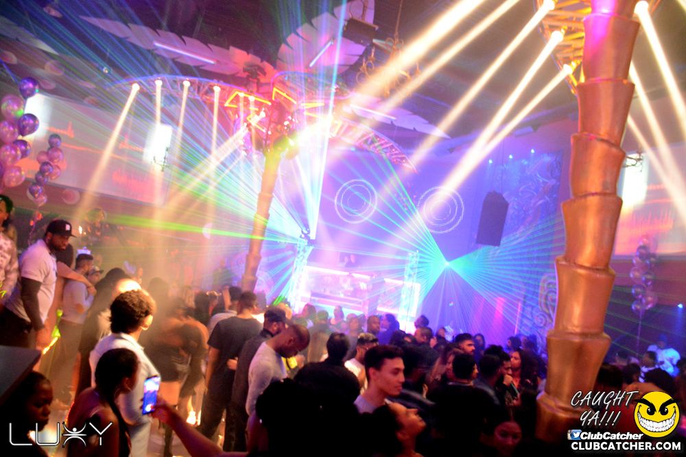 Luxy nightclub photo 117 - January 5th, 2019