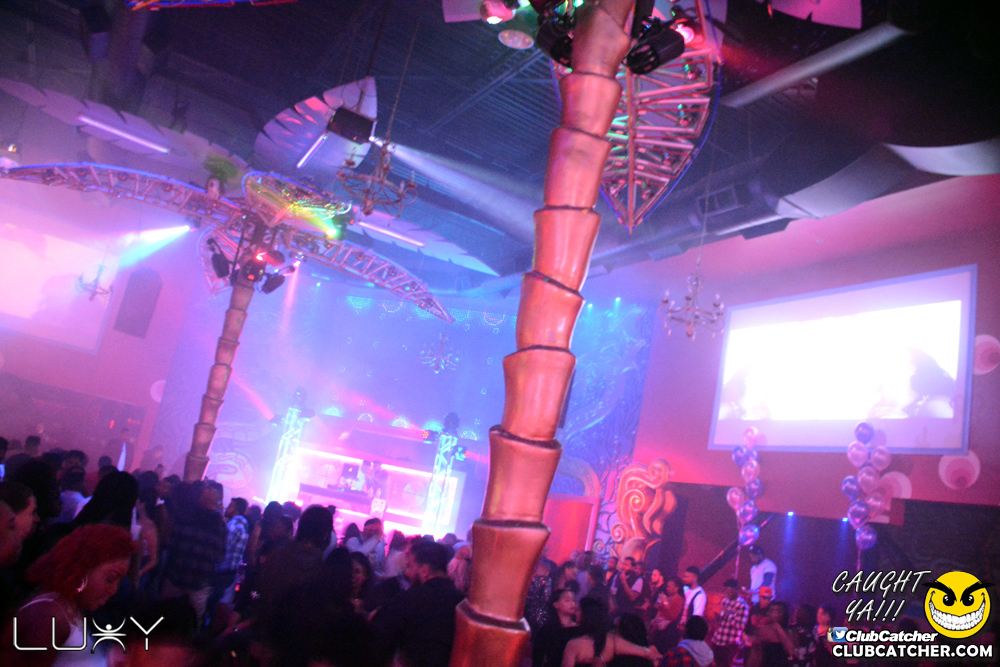 Luxy nightclub photo 36 - January 12th, 2019