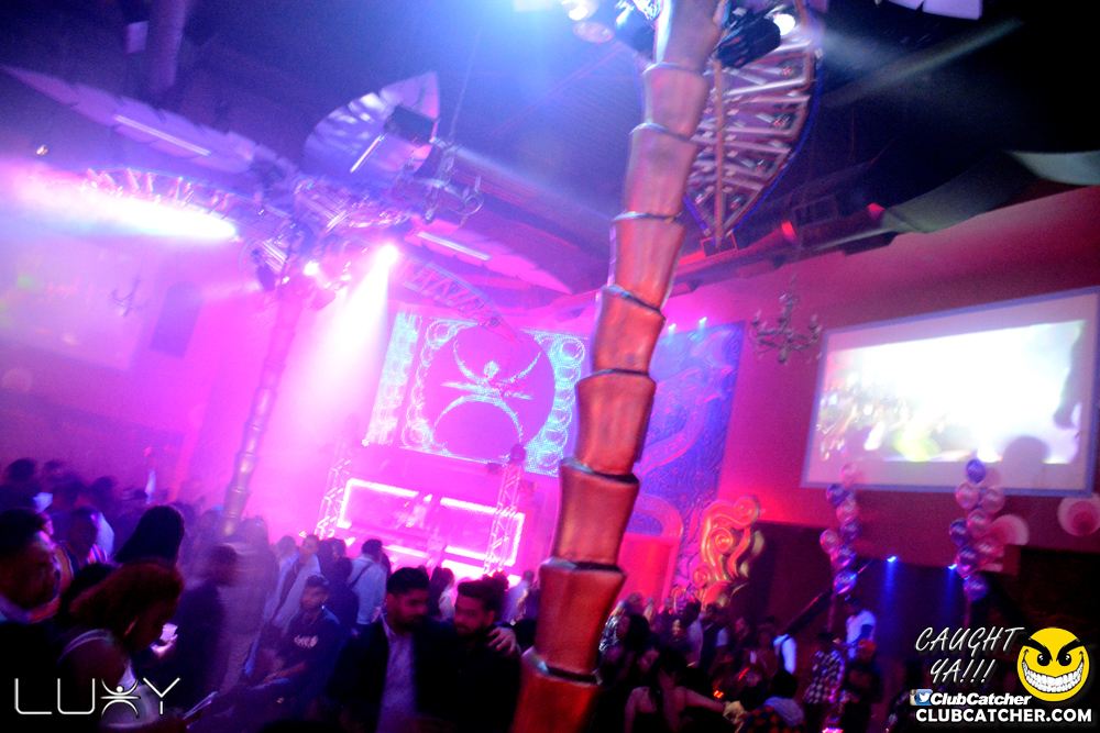 Luxy nightclub photo 87 - January 12th, 2019