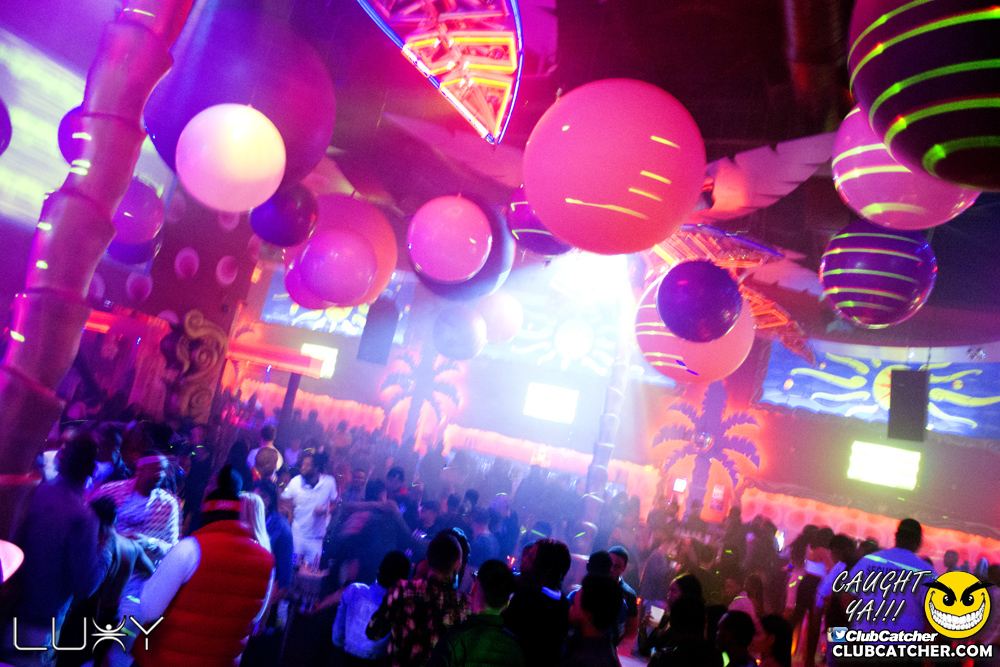 Luxy nightclub photo 185 - January 25th, 2019