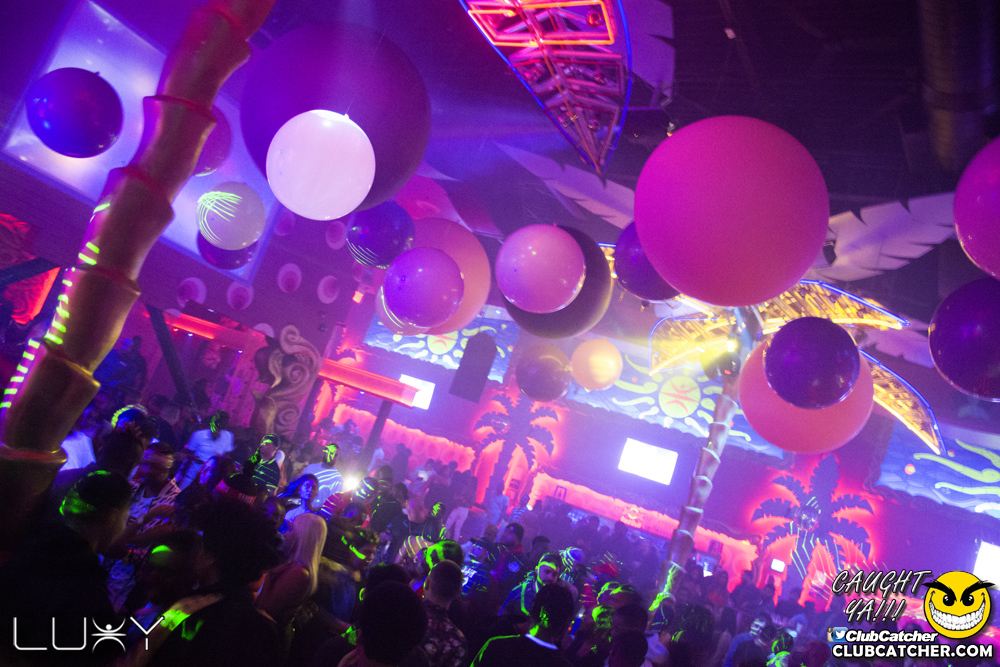 Luxy nightclub photo 43 - January 25th, 2019