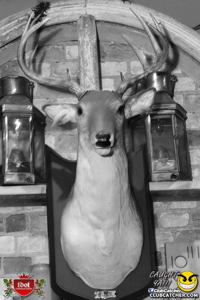 Cabin Five nightclub photo 115 - March 16th, 2019