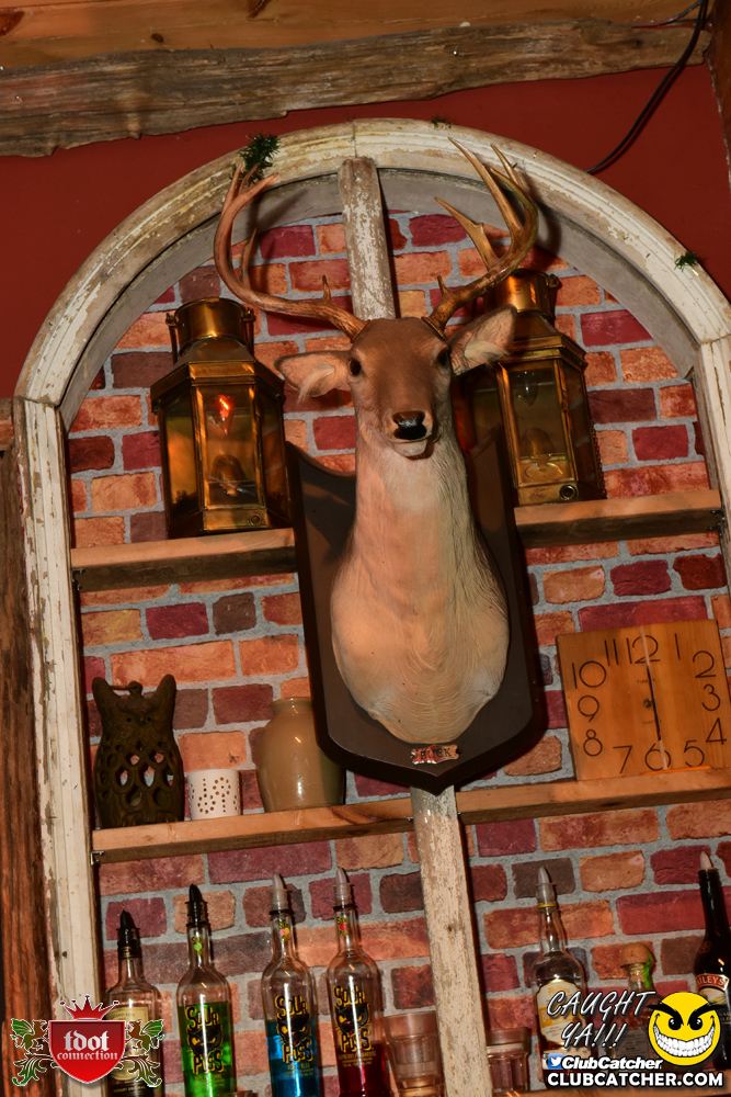 Cabin Five nightclub photo 34 - March 16th, 2019