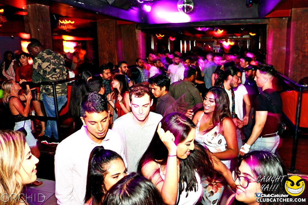 Orchid nightclub photo 1 - June 21st, 2019