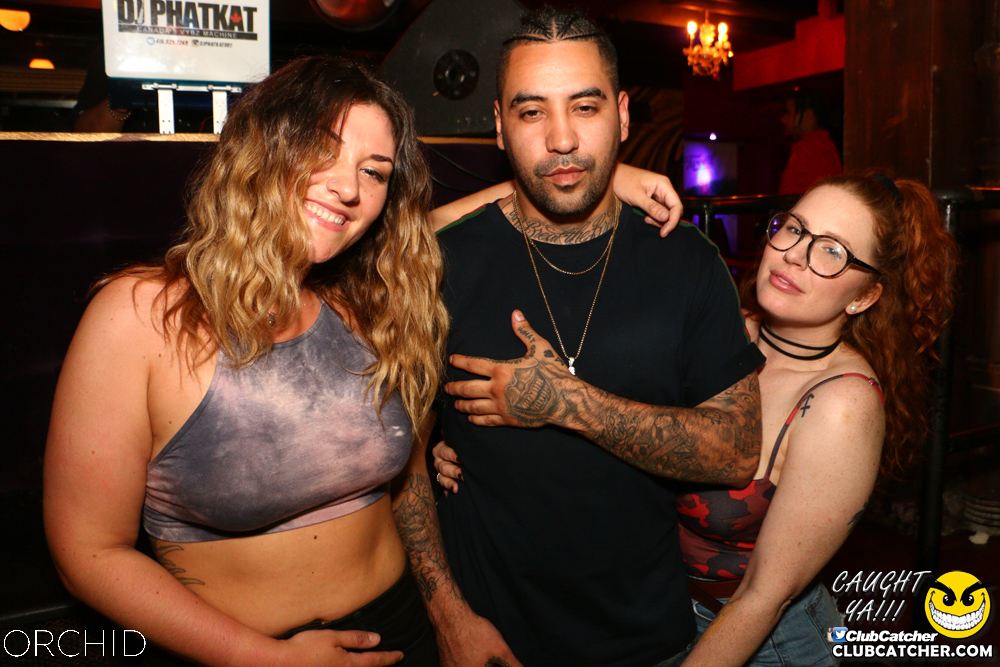 Orchid nightclub photo 14 - June 21st, 2019