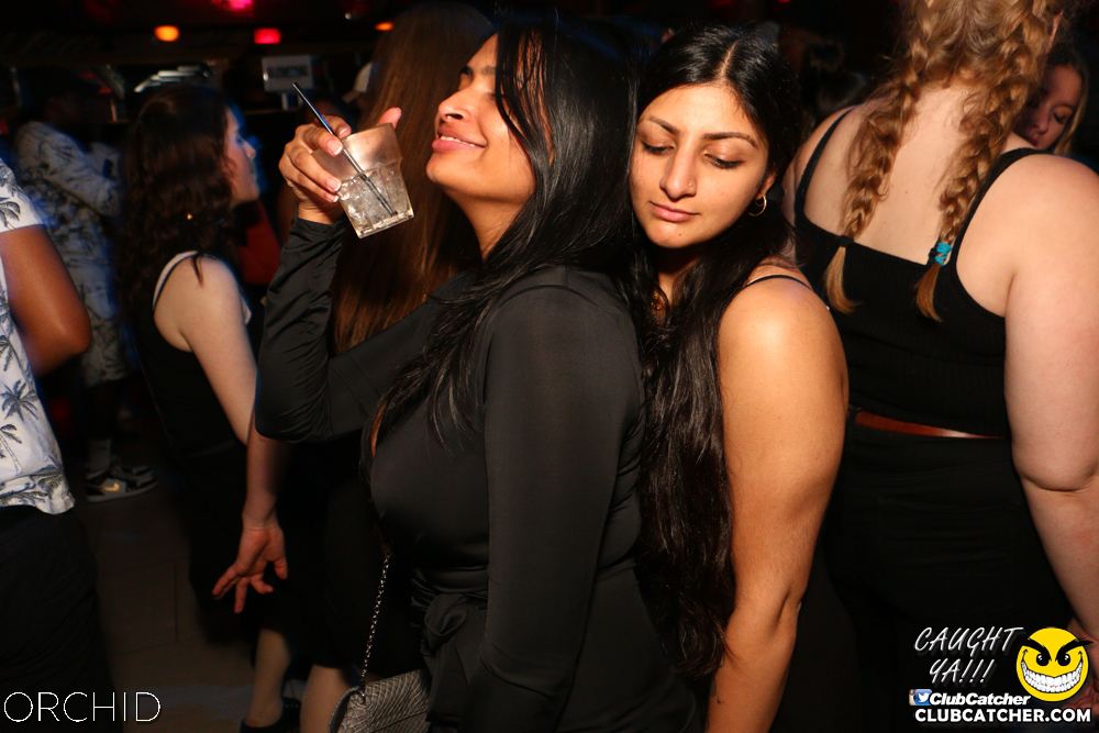 Orchid nightclub photo 18 - June 21st, 2019
