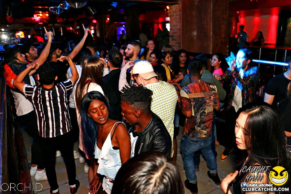Orchid nightclub photo 20 - June 21st, 2019