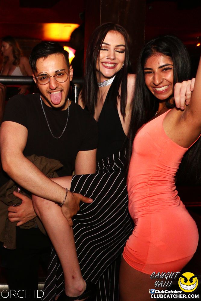 Orchid nightclub photo 3 - June 21st, 2019