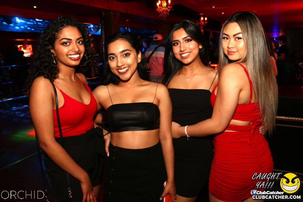 Orchid nightclub photo 24 - June 21st, 2019