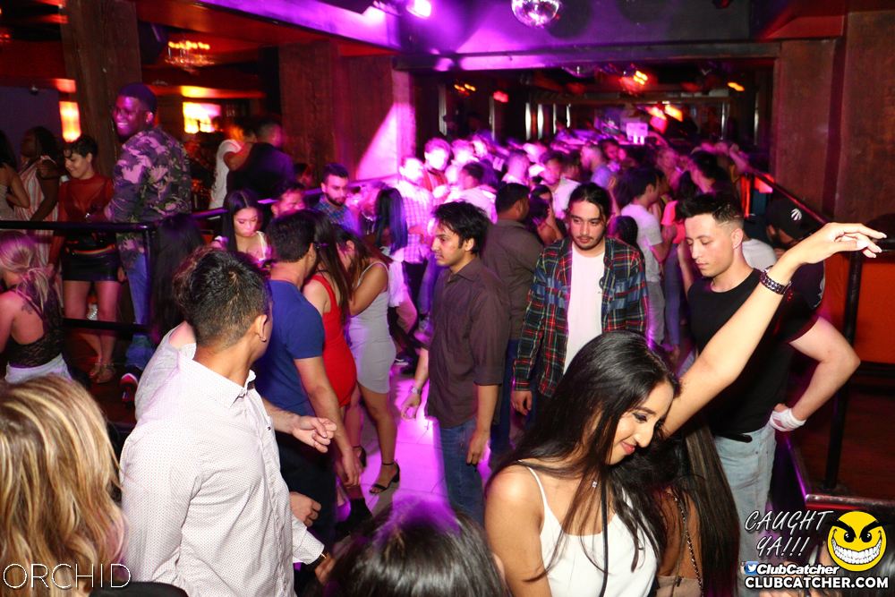 Orchid nightclub photo 27 - June 21st, 2019