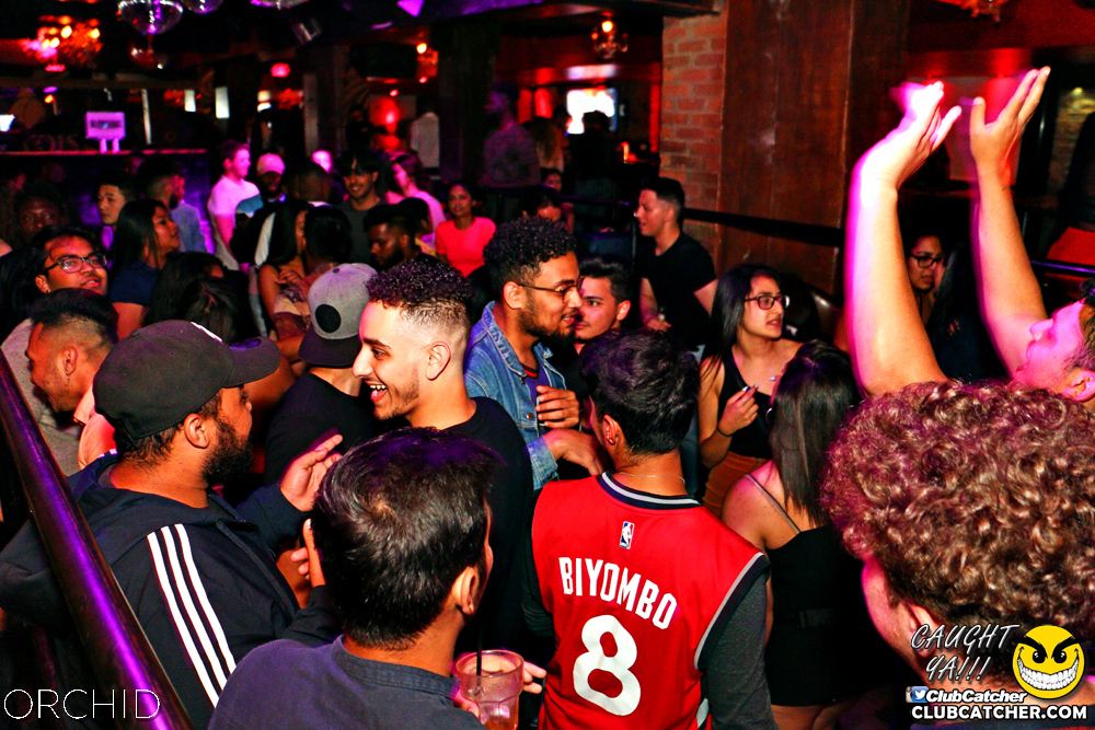 Orchid nightclub photo 33 - June 21st, 2019