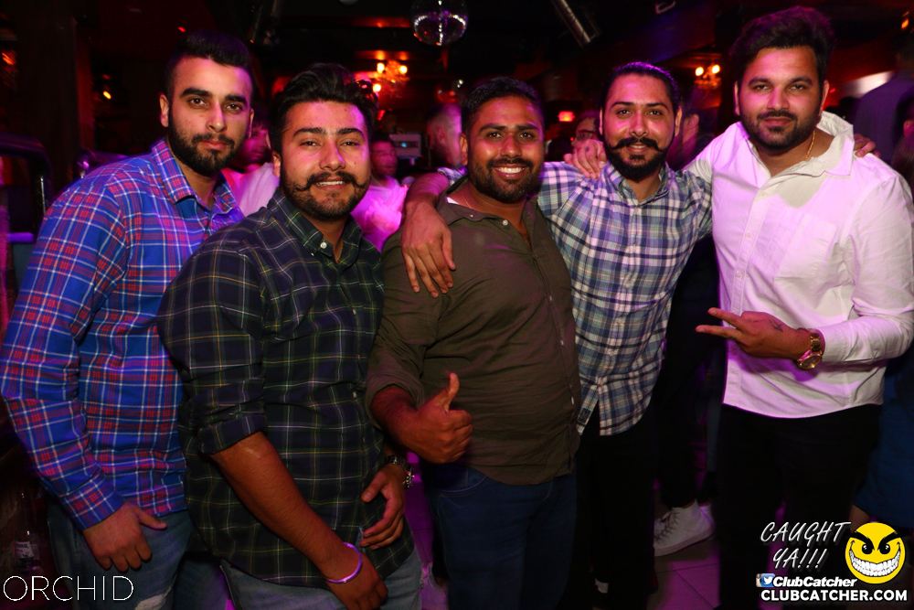 Orchid nightclub photo 36 - June 21st, 2019