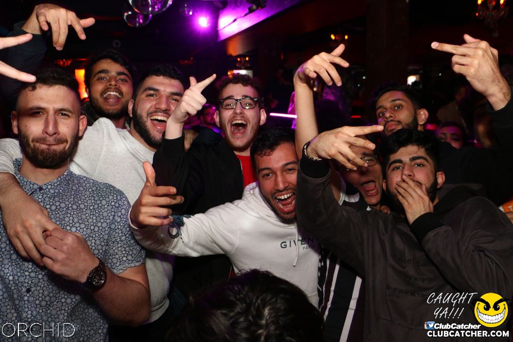 Orchid nightclub photo 38 - June 21st, 2019