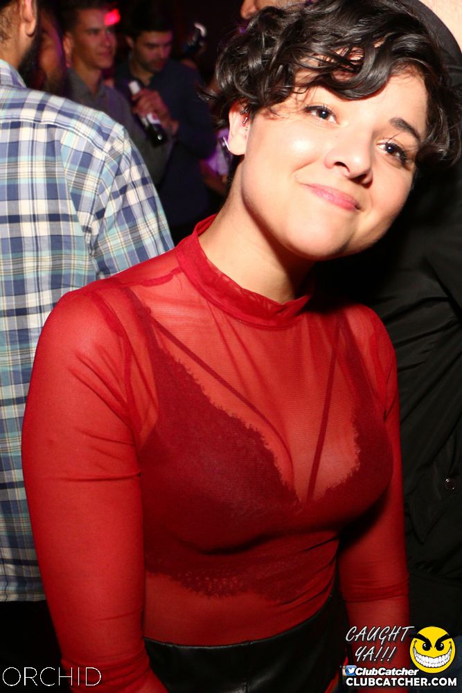 Orchid nightclub photo 41 - June 21st, 2019