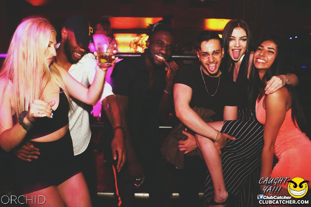 Orchid nightclub photo 42 - June 21st, 2019