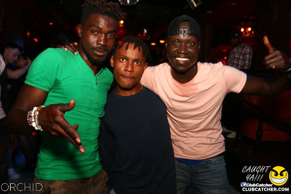Orchid nightclub photo 45 - June 21st, 2019