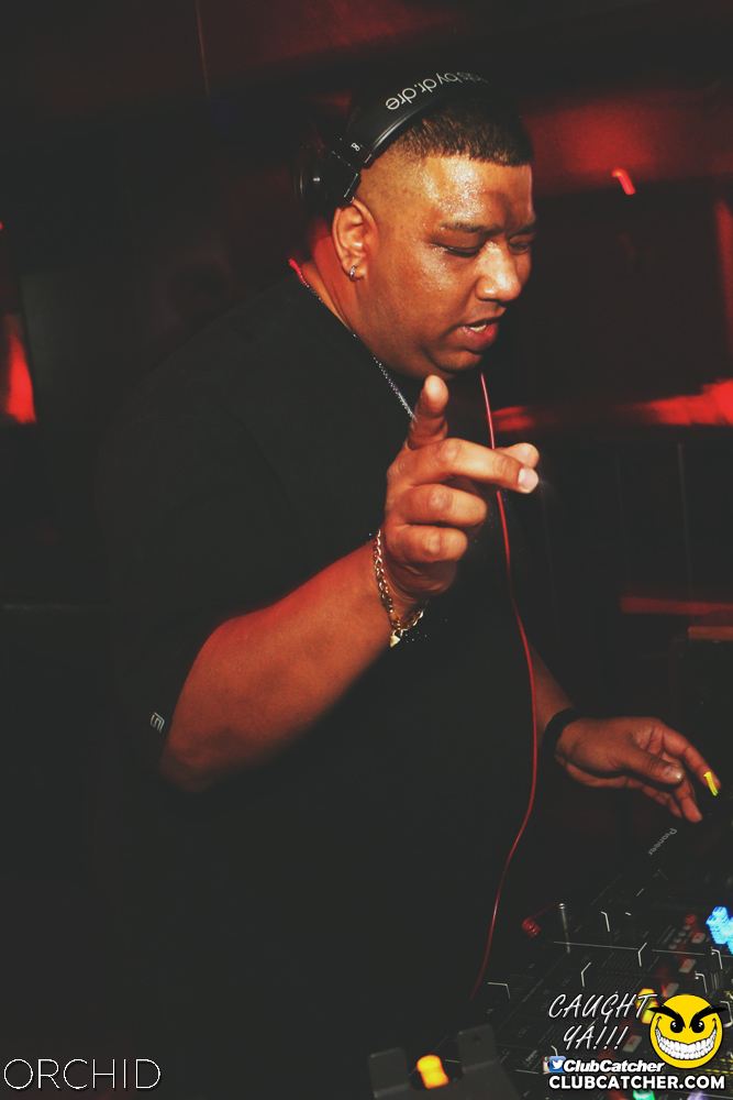 Orchid nightclub photo 46 - June 21st, 2019