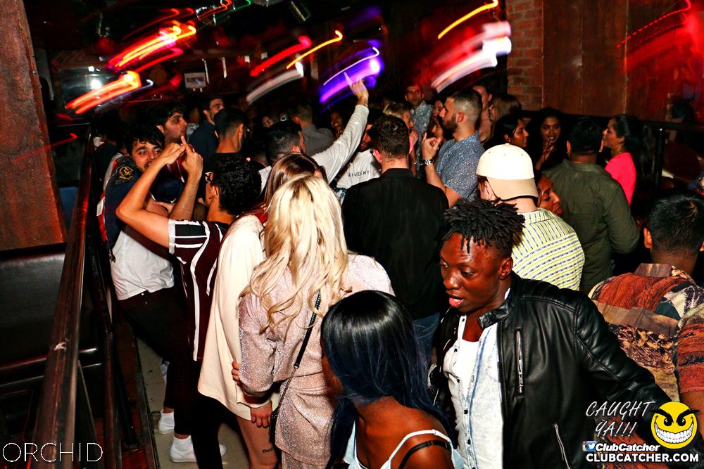 Orchid nightclub photo 52 - June 21st, 2019