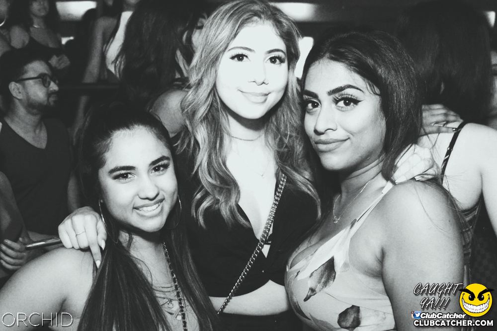 Orchid nightclub photo 53 - June 21st, 2019