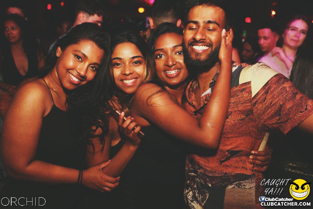 Orchid nightclub photo 54 - June 21st, 2019
