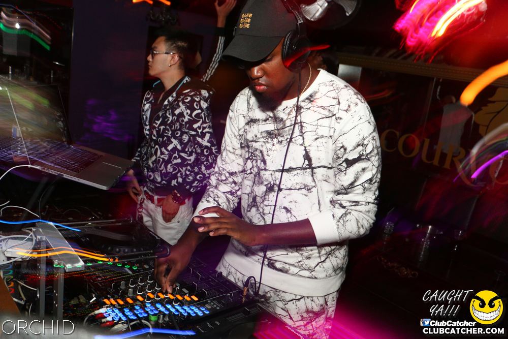 Orchid nightclub photo 55 - June 21st, 2019
