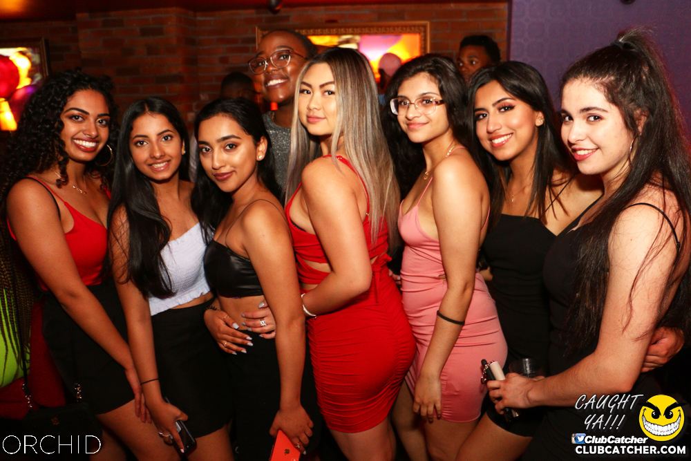 Orchid nightclub photo 56 - June 21st, 2019
