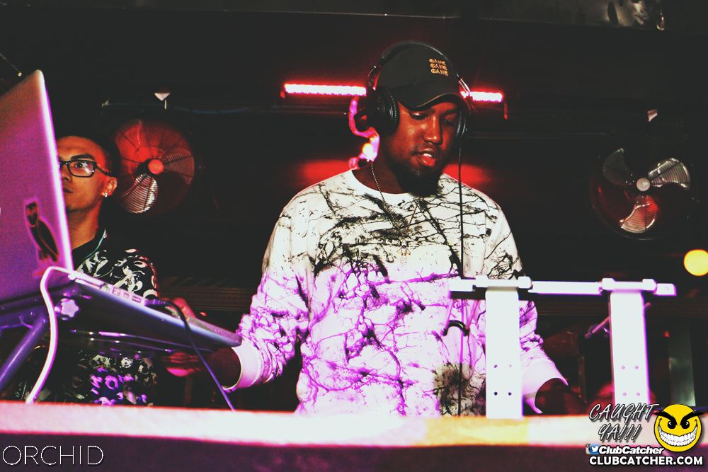 Orchid nightclub photo 57 - June 21st, 2019