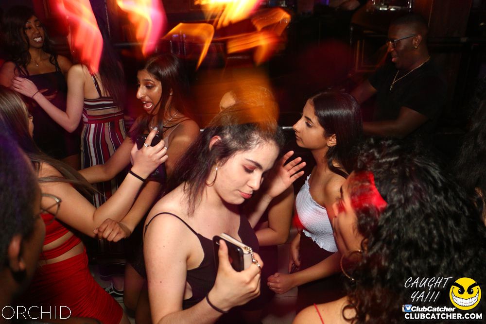 Orchid nightclub photo 59 - June 21st, 2019