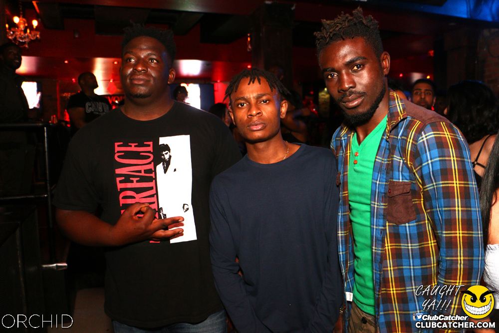Orchid nightclub photo 60 - June 21st, 2019